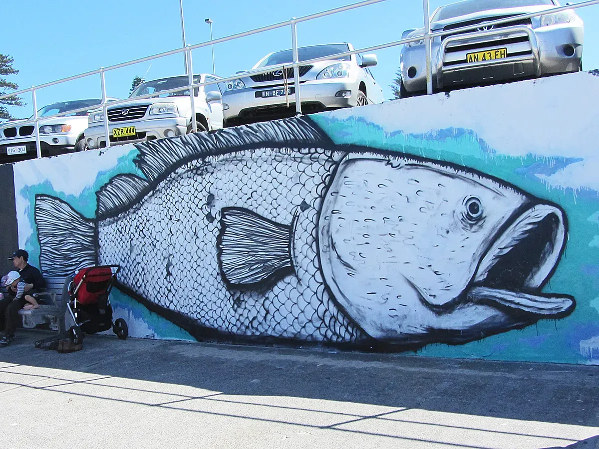 Bondi graffiti