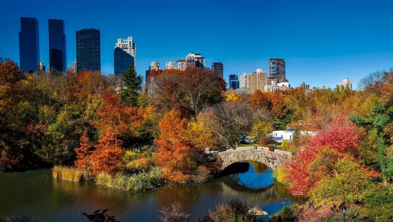 Central Park Autumn