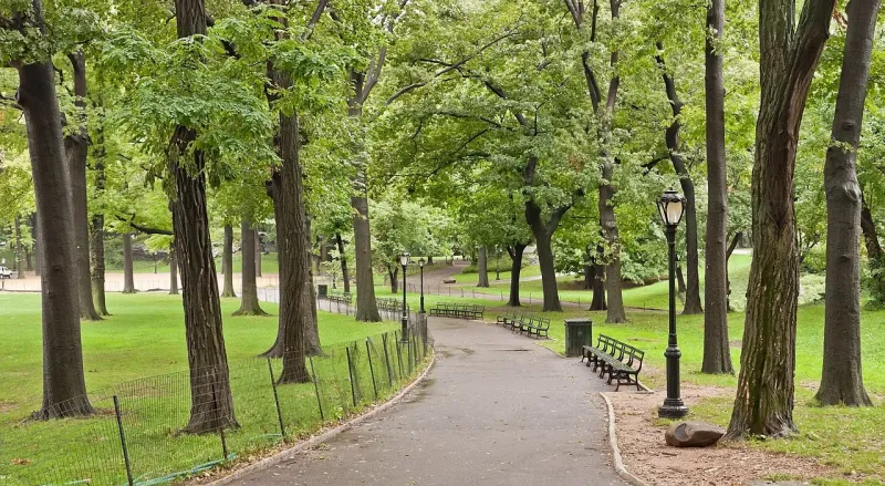 Central Park Path
