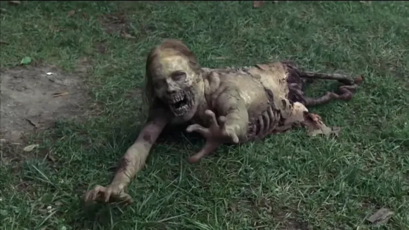 Bicycle Girl TWD